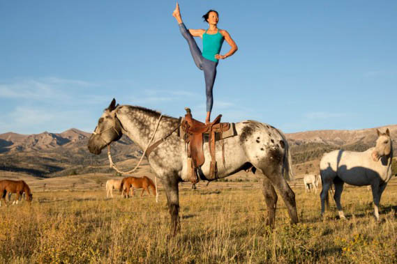 O cavalo e a humanidade: Como os equinos ajudaram na construção da história