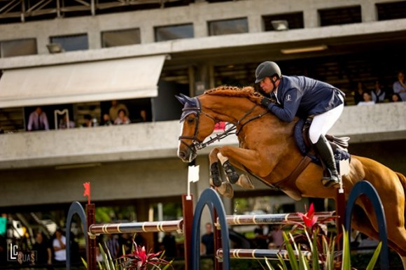 Cavalos de Salto: de A a Z – Cavalo de Salto Argentina